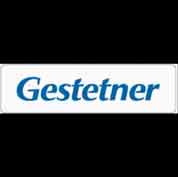 (x2)(-AA/-CHN(25)):PLATE:LOGOTYPE:GES