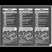 Синтетическая наклейка с предупреждением на 3-х языках MP C4504/C5504/C6004, (x2)(NA/EU):DECAL::ORIGINAL:MANY LANGUAGES