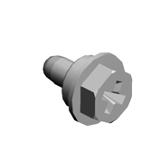 (x2)SCREW